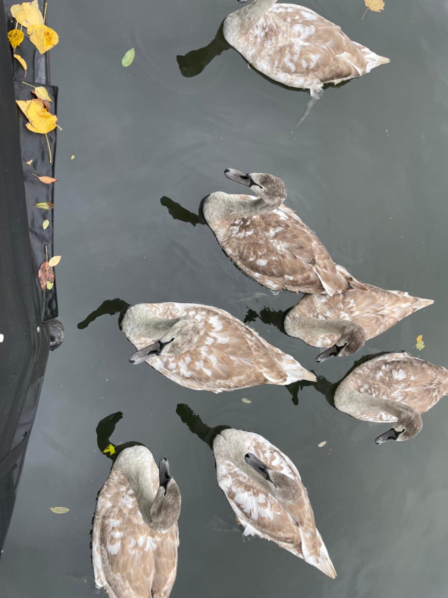 Cosy Canal Boat In Little Venice By Paddington For Family & Friends Hotell London Eksteriør bilde